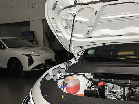 2026�� 530km ������