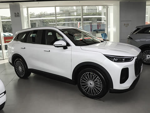 2026�� 9X 2.0T �Զ����������