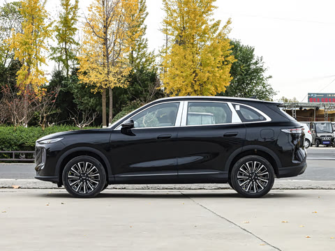 2026�� ����� ���� ����1.6T �Զ������