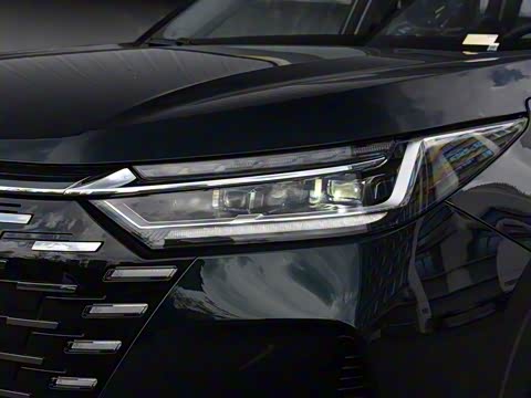 2025�� 290T ��������+