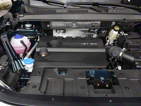 2025�� 290T ��������+