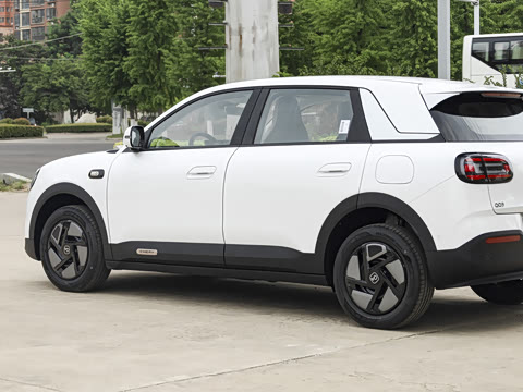 2026�� 310������