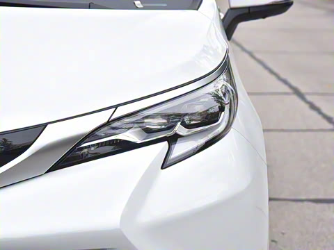 2026�� 2.5L ˫�����������