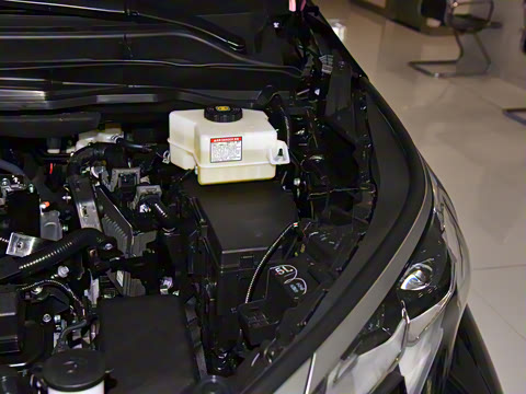 2026�� 2.5L ˫����������