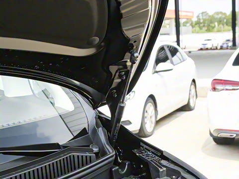 2025�� DM-i ��������