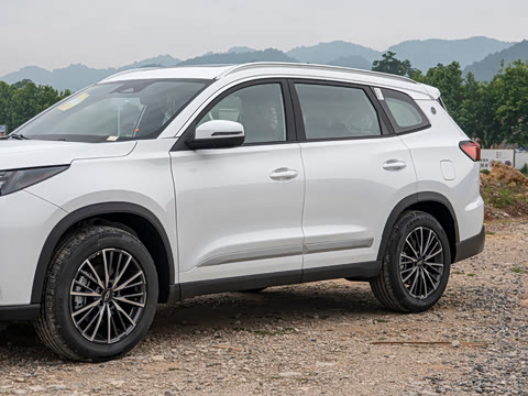 2026�� �ھ��� 290T ���������� 7��