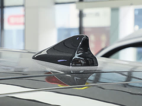 2025�� 530�캽��