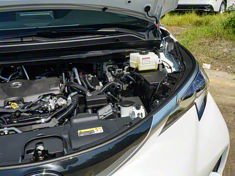 2026�� 2.5L�춯 ������