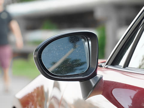 2025�� �ֶ��������� ī�����