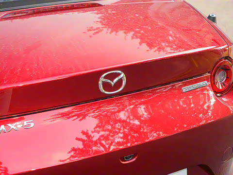 2025�� �ֶ��������� ī�����