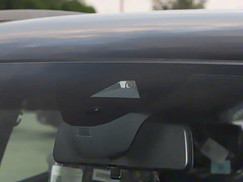 2025�� ������������ʿPRO��