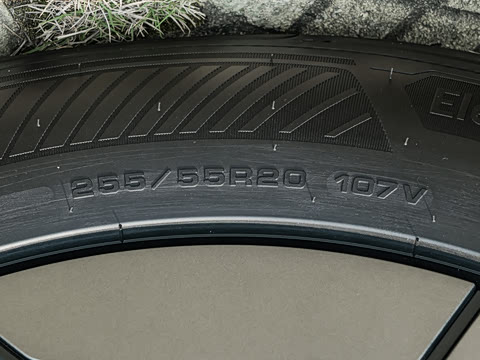 2026�� Max+ ������