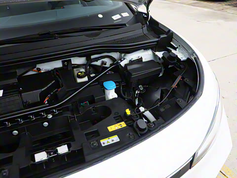 2026�� ������PURE