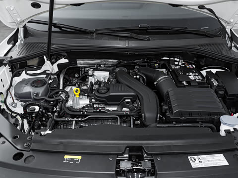 2026�� ���ڿ� 300TSI �Զ��������ڰ�