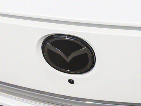 2025�� ����600 Pro