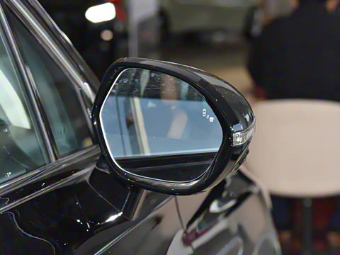 2025�� 2.0T PHEV ���������� 6��