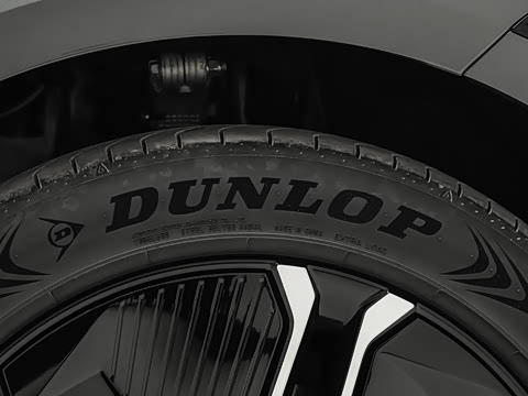 2026�� �Ŀ� Max ˫��������