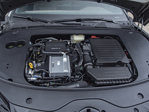 2025�� DM-i �Ǽݰ� 245KM������