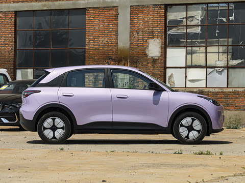 2026�� 310km ������
