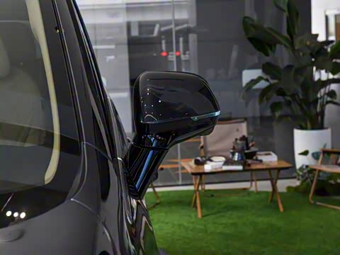 2025�� DM-i ��������