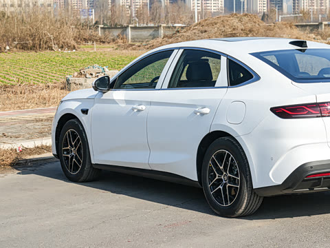 2026�� DM-i 170KM��Խ��