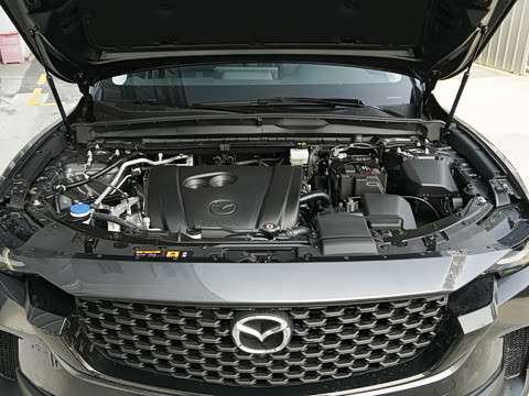 2026�� 2.0L ���а�