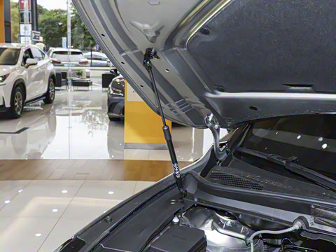 2026�� 350h ����������