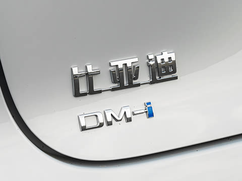 2026�� DM-i 305�Ǻ���