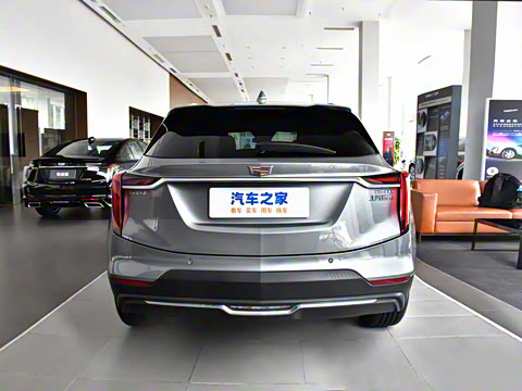 2023�� 25T ������