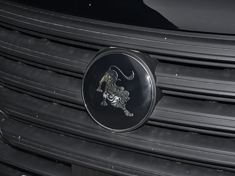 2025�� M5 1.6L ��׼��7��CNG