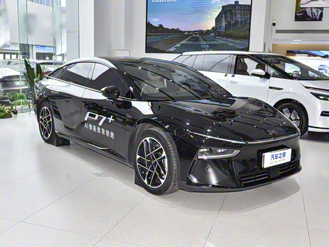 2025�� �������� Max �콢��