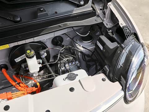 2026�� ����� 301km ���׿�