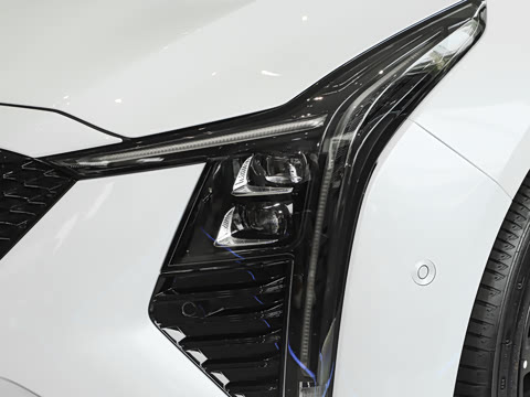2025�� 28T �������ܰ�