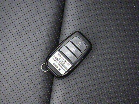 2026�� ˫�� 2.0HGVP ������