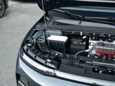 2025�� 650������