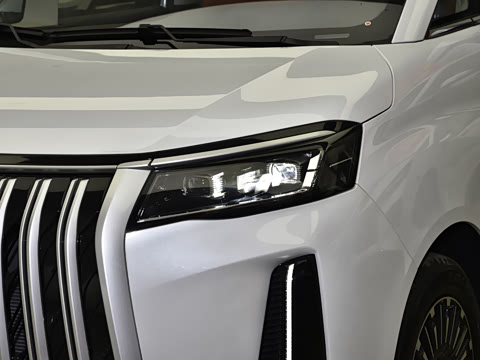 2026�� CNG �м�Ӫ�� 7��