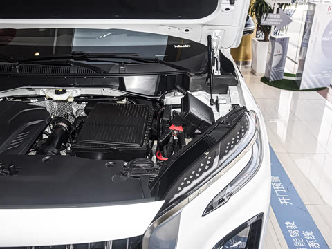 2024�� 115km ��Ϊ��