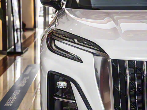 2024�� 115km ��Ϊ��