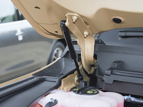 2025�� ��Ұ�� 5��