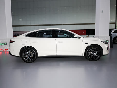 2026�� DM-i 210KM��Խ��