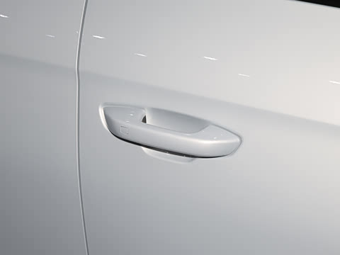 2026�� DM-i 220KM׿Խ��