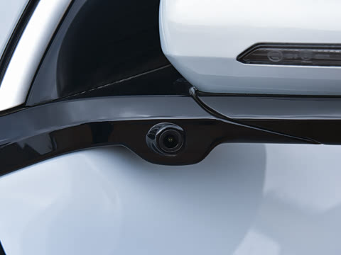 2026�� DM-i 220KM��Խ��