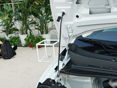 2026�� �����