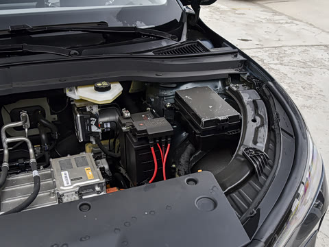 2025�� 445km ���ð�