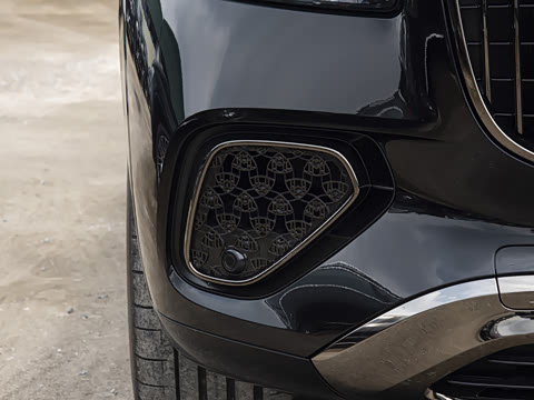 2025�� GLS 600 4MATIC ��ҹ��