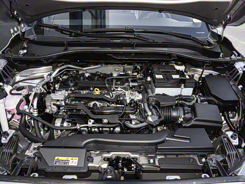 2026�� 2.0L ��Ӣ��