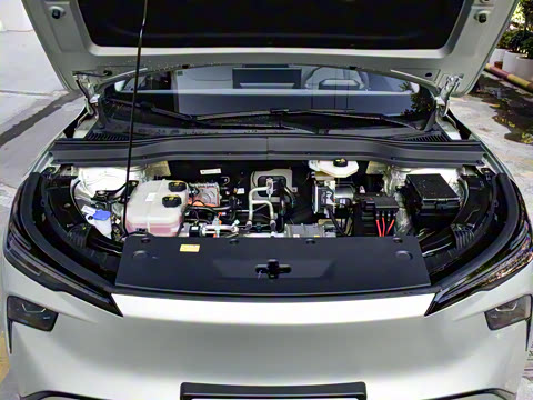 2025�� 565km ������