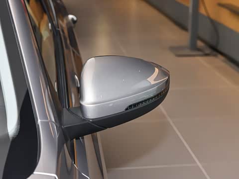 2026�� 300TSI DSG���а�