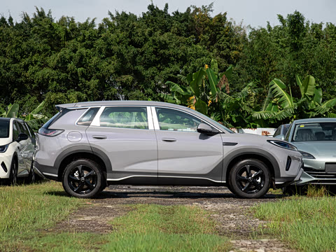 2026�� DM-i 220������