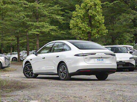 2026�� 520�Ǻ���